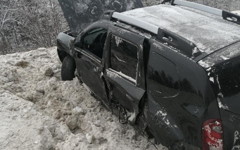 Житель Марий Эл съехал в кювет, пытаясь спасти выбежавшую собаку