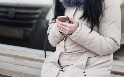 Жительница Марий Эл потеряла более 12 тысяч рублей "работая" удаленно