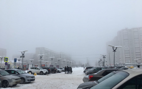 Йошкаролинцы смогут заключать договор купли-продажи авто через Госуслуги