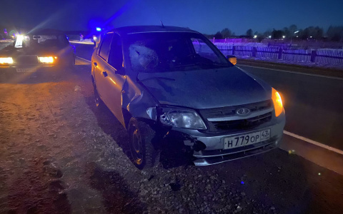 В Марий Эл водитель насмерть сбил пенсионера