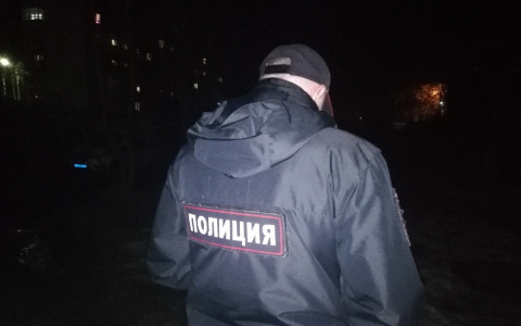 Йошкаролинцы расплатились в магазине деньгами, напечатанными на принтере