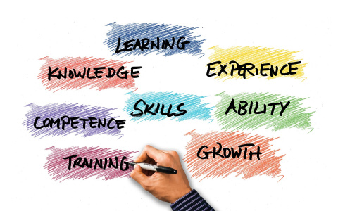 Как правильно выбрать онлайн-школу английского языка