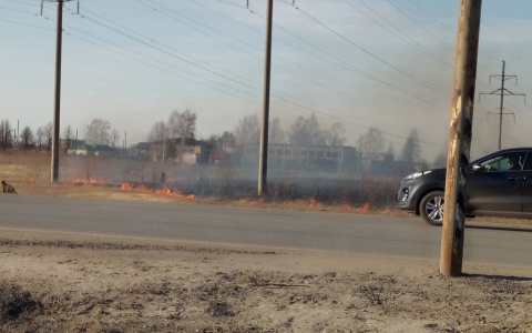 Пожарные в Йошкар-Оле тушили загоревшееся поле сухой травы
