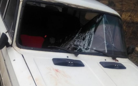 Житель Марий Эл попал в больницу по собственной неосторожности