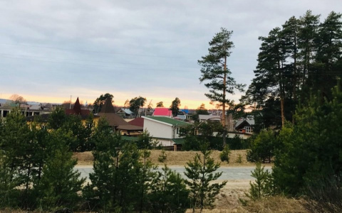 «Это может быть женщина, которую искали еще в 2018»: в лесу нашли человеческий скелет