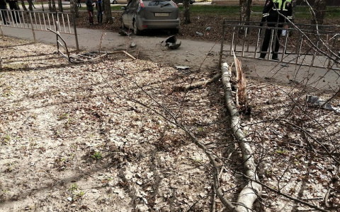 В Йошкар-Оле легковушка наехала на бордюр и угодила в дерево