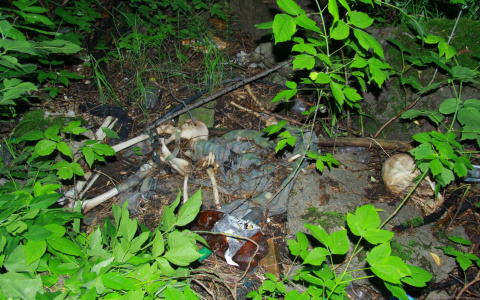 «Лежали там несколько лет»: в Марий Эл нашли кости человека