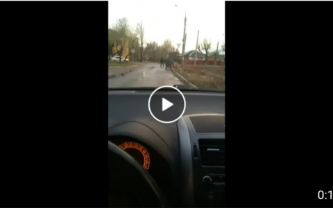 «Никому нет дела!»: йошкаролинец пытается донести об опасности на дороге