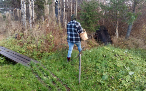 «Повредила ногу и не могла идти»: СК рассказал, кем была женщина, чей скелет нашли в лесах Марий Эл