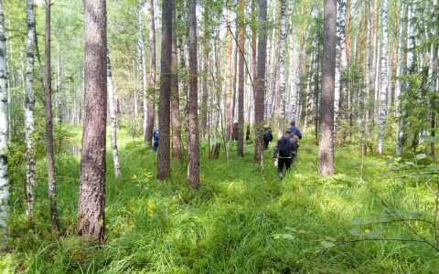 В Марий Эл нашли мертвым пропавшего мужчину, который ушел из дома в тапочках