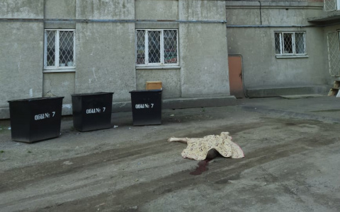 В Йошкар-Оле погиб студент, выпав из окна общежития