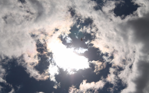 Погода на сегодня: йошкаролинцам стоит ждать серости и жары