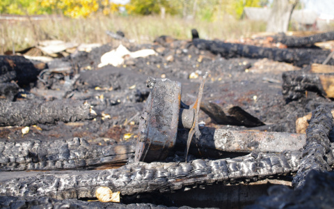 В страшном пожаре в садах едва не погибла йошкаролинка
