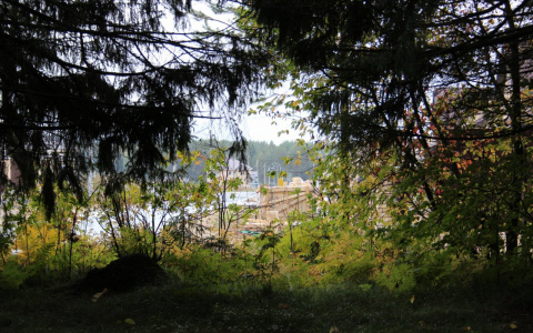 Жителям Марий Эл стало опасно ходить в леса