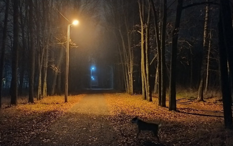 В начале следующей недели многие йошкаролинцы  останутся без света