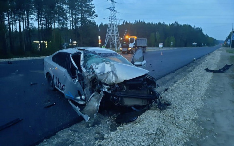 «Авто стояло с ночи до утра»: в Марий Эл молодой таксист врезался в стоящий на трассе грузовик