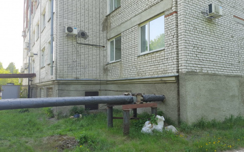 В Йошкар-Оле из окна хирургического отделения больницы выпала женщина