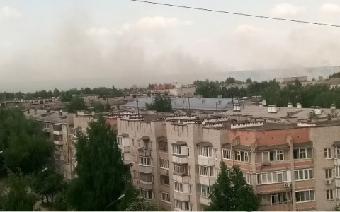 «Дым окутал небо»: йошкаролинцы засняли полыхающее поле рядом с улицей Дружбы