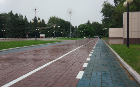 «Душно, влажно и вокруг одни лужи»: погода в Йошкар-Оле испортится к выходным