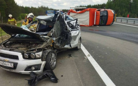 В Марий Эл произошло ДТП: не уследив за скоростью водитель разбился