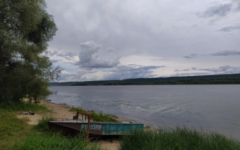 В Марий Эл найдено тело мужчины