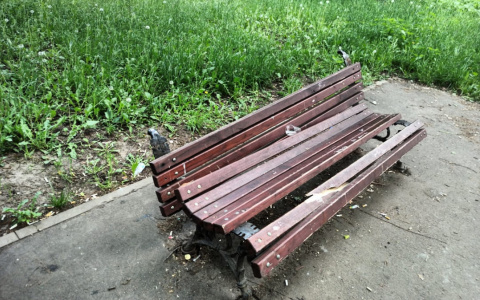 «Жизнь одной скамейки»: йошкаролинцы недовольны ее состоянием