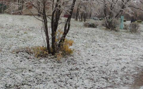 «Спрячьте растения под пленкой»: в Марий Эл ожидаются аномальные заморозки
