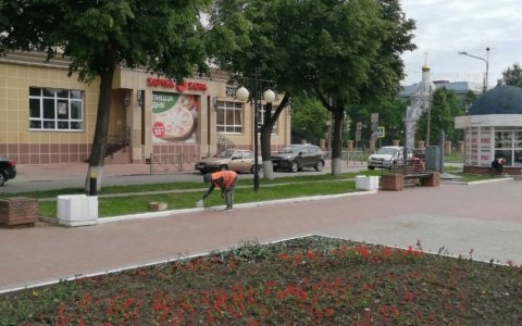 В Йошкар-Оле продолжают облагораживать центр города