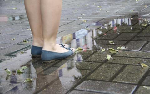 Середина недели не обрадует йошкаролинцев дождем и легким ветром