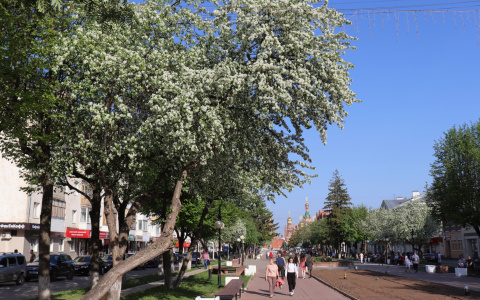 Йошкаролинцы смогут насладиться теплым солнечным днем