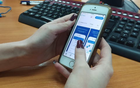 В Марий Эл появился сомнительный сайт, который обещает золотые горы