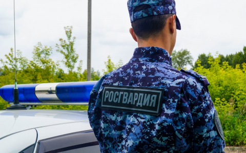 В Марий Эл поймали преступницу находящуюся в федеральном розыске