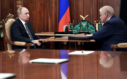 Президент поддержал предложения по решению проблемы бездомных животных