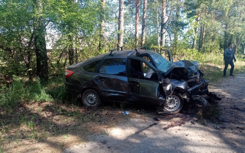 Смертельное ДТП на одной из трасс Марий Эл: водитель не выжил после столкновения с деревом