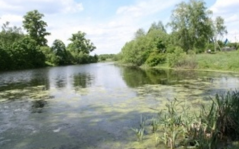 «Неудачно искупался»: сегодня утром жители Марий Эл достали тело утопленника из реки