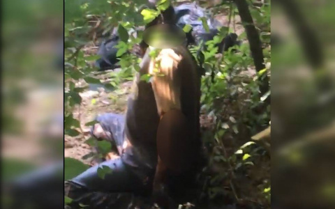 Йошкаролинцы наткнулись в кустах на разлагающееся тело