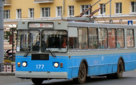 Зашел с мамой в троллейбус: четырехлетний мальчик потерялся в Йошкар-Оле