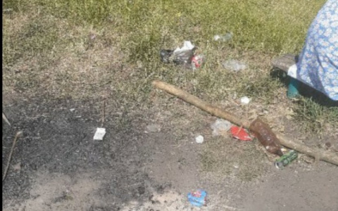 «На каждое озеро по свалке»: йошкаролинцы возмущены