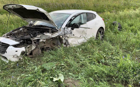 Двое детей пострадали в лобовом столкновении иномарок в Марий Эл