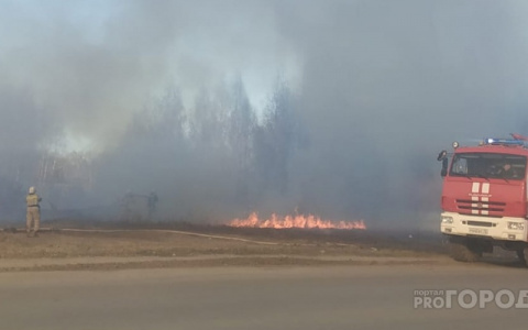 В Марий Эл за несколько месяцев случилось 39 лесных пожаров
