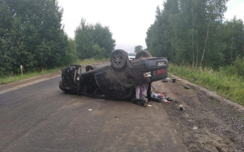 Житель Марий Эл едва не лишился жизни из-за «ушастого» на дороге