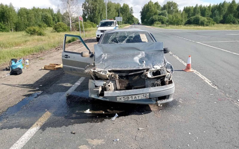 В Марий Эл восемнадцатилетний водитель «четырки» столкнулся с грузовиком