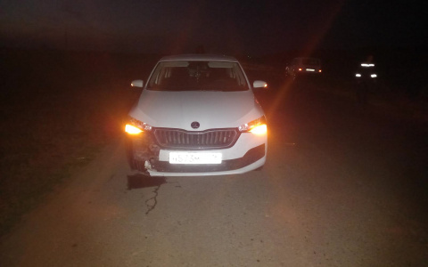 «Просто прилег отдохнуть»: житель Марий Эл погиб под колесами иномарки