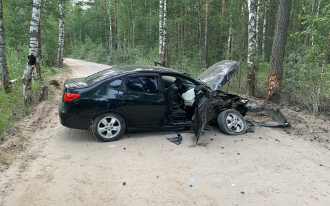 В Медведевском районе пьяный водитель врезался в дерево