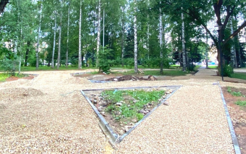 В Йошкар-Оле облагораживают западную часть центрального парка