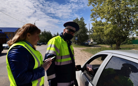 Более сорока водителей из Марий Эл рискнули безопасностью своих детей в авто