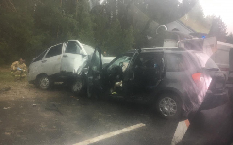 «Женщина лежала вся в крови»: на трассе Звениговского района произошло смертельное ДТП