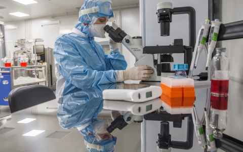 В России выявили новый бразильский штамм коронавируса