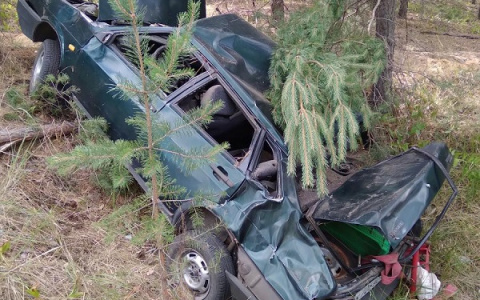 В Марий Эл перевернулась машина с пьяным водителем за рулем