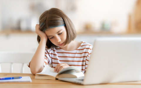 Школы Марий Эл смогут самостоятельно переходить на удалённый формат обучения